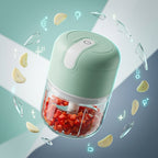 Zortio Mini Electric Chopper