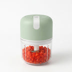 Zortio Mini Electric Chopper